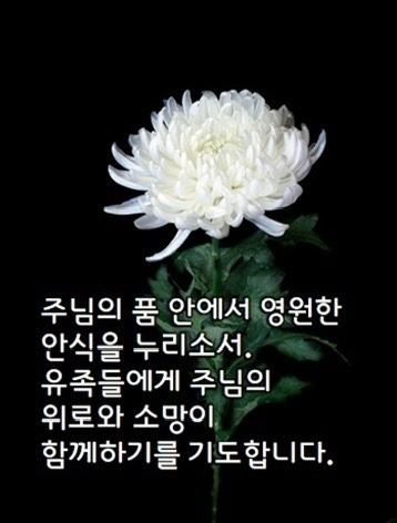 3609e983844a6030886b8c27c9cf65c8_1711515454_4747.jpg 3609e983844a6030886b8c27c9cf65c8_1711515454_4747.jpg